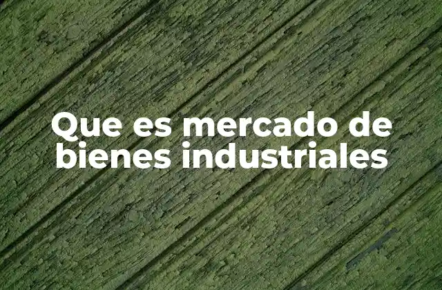 Que es Mercado de Bienes Industriales