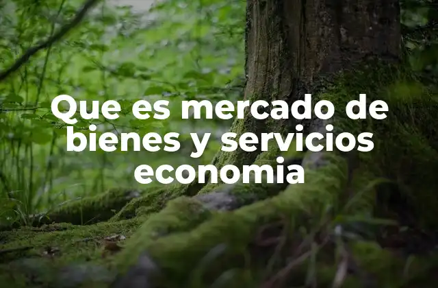 Que es Mercado de Bienes y Servicios Economia