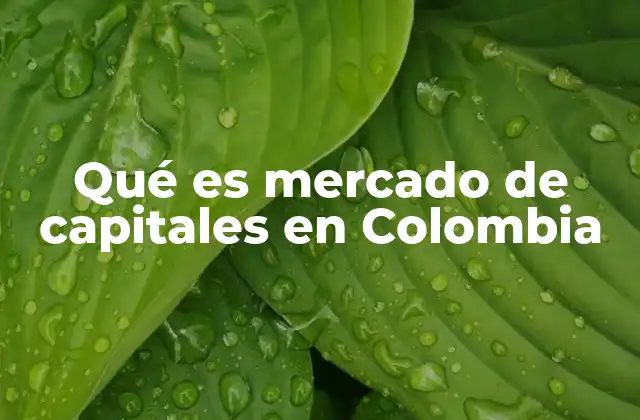 Qué es Mercado de Capitales en Colombia 2 El papel del mercado de capitales en la economía colombiana