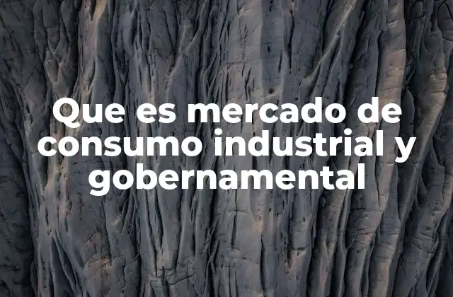 Que es Mercado de Consumo Industrial y Gobernamental