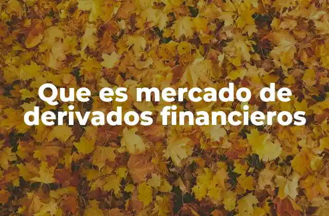 Que es Mercado de Derivados Financieros
