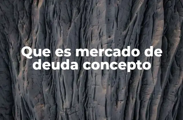 Que es Mercado de Deuda Concepto