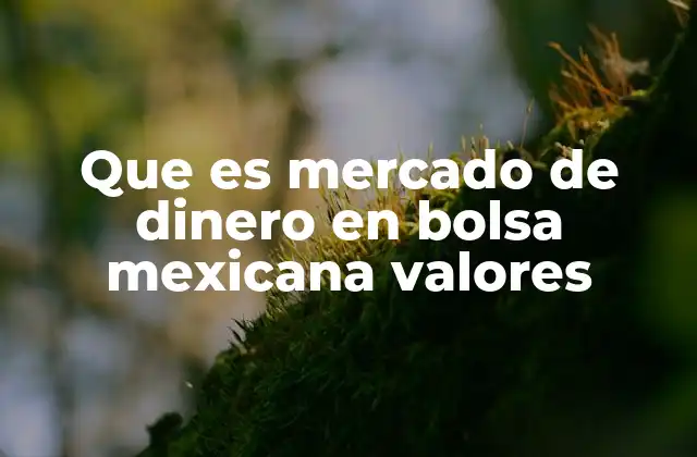 Que es Mercado de Dinero en Bolsa Mexicana Valores