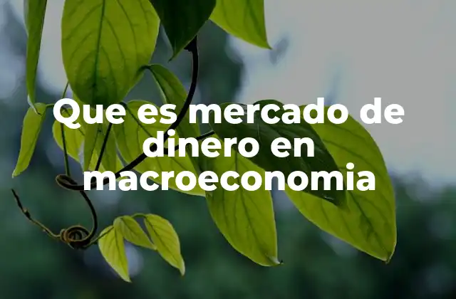 Que es Mercado de Dinero en Macroeconomia 2 El papel del mercado de dinero en la estabilidad macroeconómica