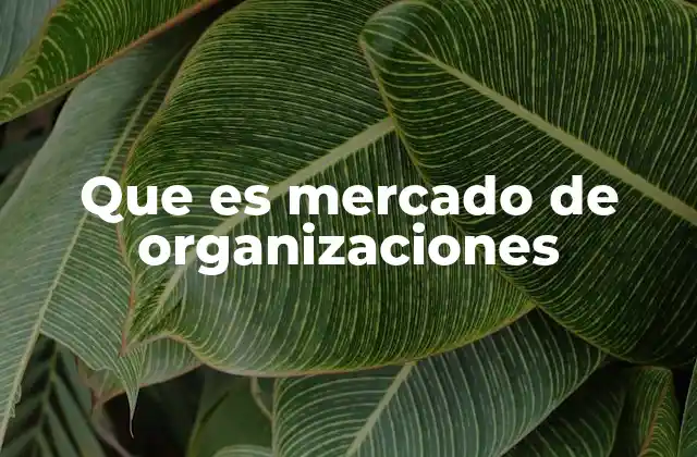 Que es Mercado de Organizaciones