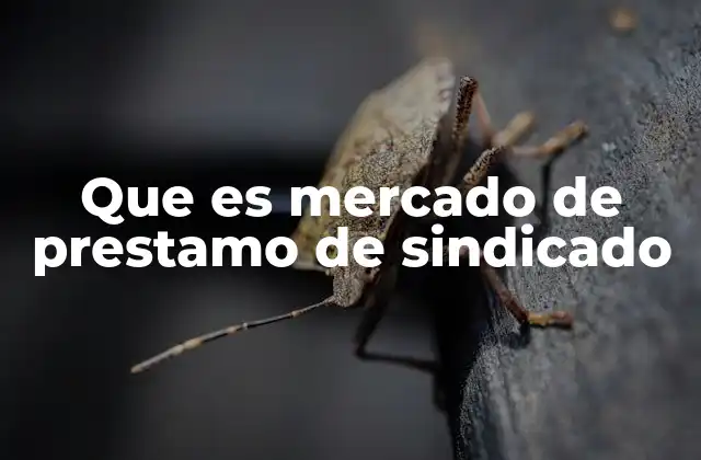 Que es Mercado de Prestamo de Sindicado 2 Dinámica del mercado de préstamo sindicado