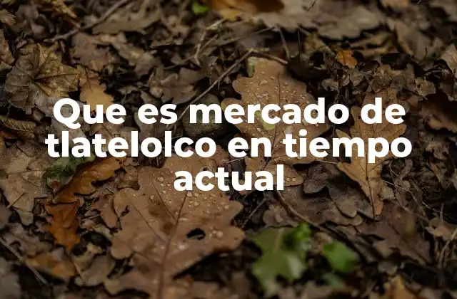 Que es Mercado de Tlatelolco en Tiempo Actual