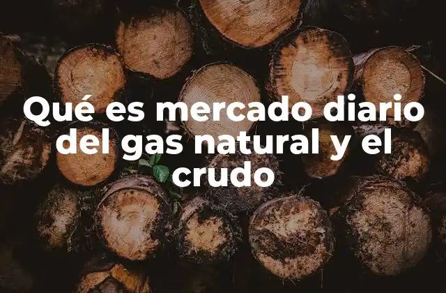La dinámica del mercado energético sin mencionar directamente la palabra clave