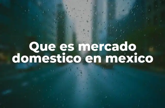 Que es Mercado Domestico en Mexico