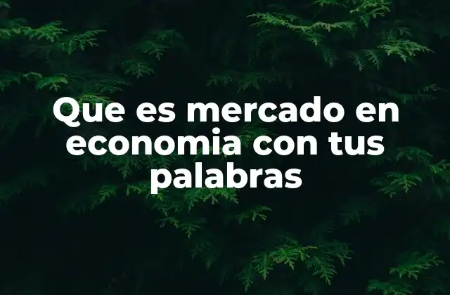 Que es Mercado en Economia con Tus Palabras