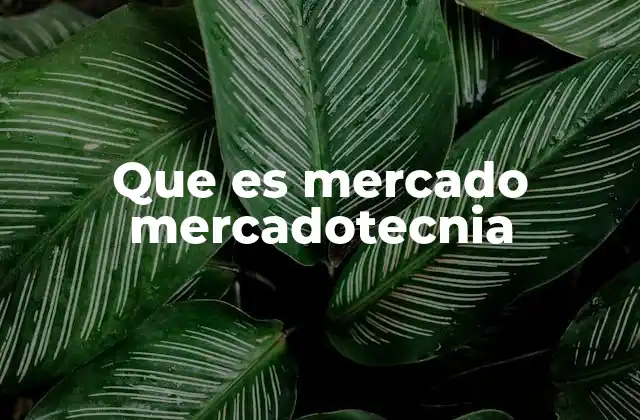 Que es Mercado Mercadotecnia
