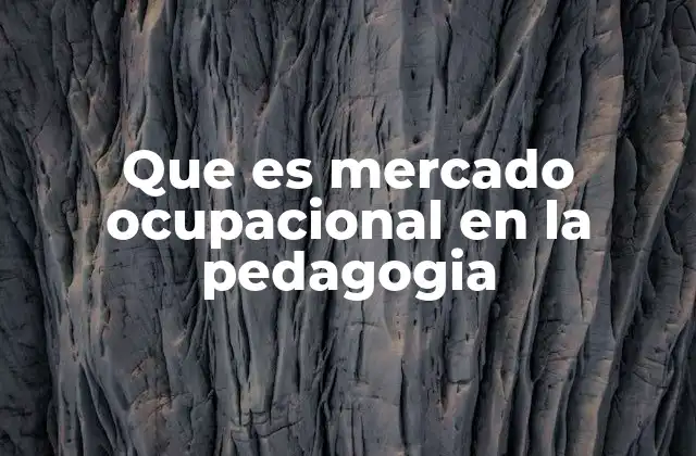 Que es Mercado Ocupacional en la Pedagogia