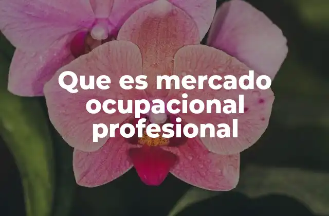 Que es Mercado Ocupacional Profesional