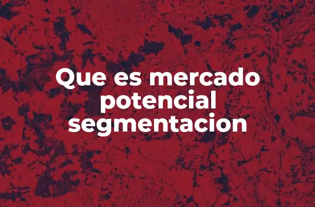 Que es Mercado Potencial Segmentacion
