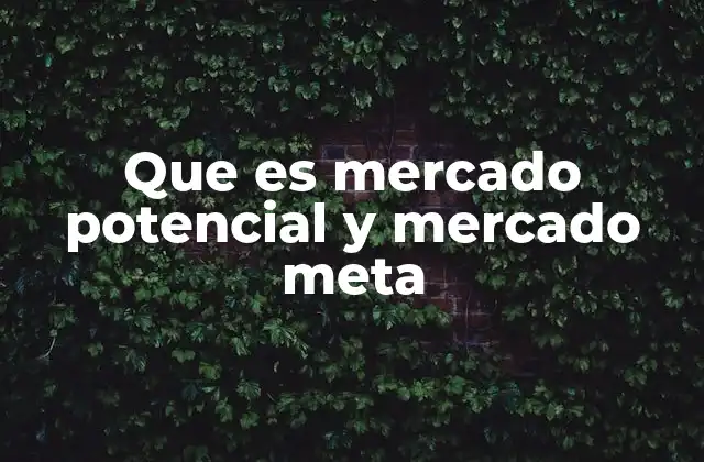 La diferencia entre mercado potencial y mercado meta