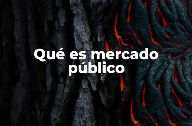Qué es Mercado Público