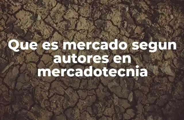Que es Mercado Segun Autores en Mercadotecnia