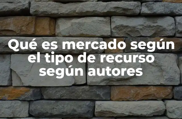 Qué es Mercado según el Tipo de Recurso según Autores