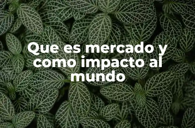 Que es Mercado y como Impacto Al Mundo