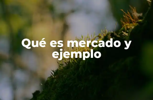 Qué es Mercado y Ejemplo