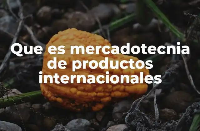Que es Mercadotecnia de Productos Internacionales 2 Cómo la mercadotecnia internacional impacta en el crecimiento empresarial