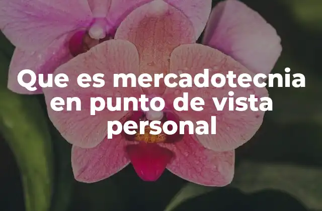 Que es Mercadotecnia en Punto de Vista Personal