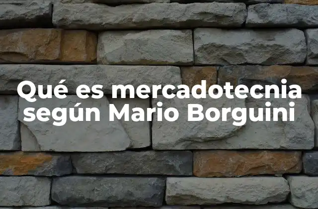 Qué es Mercadotecnia según Mario Borguini 2 El enfoque integral de la mercadotecnia según Borguini