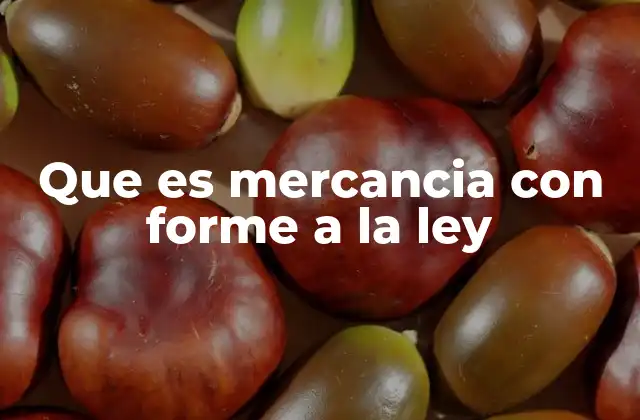 Que es Mercancia con Forme a la Ley