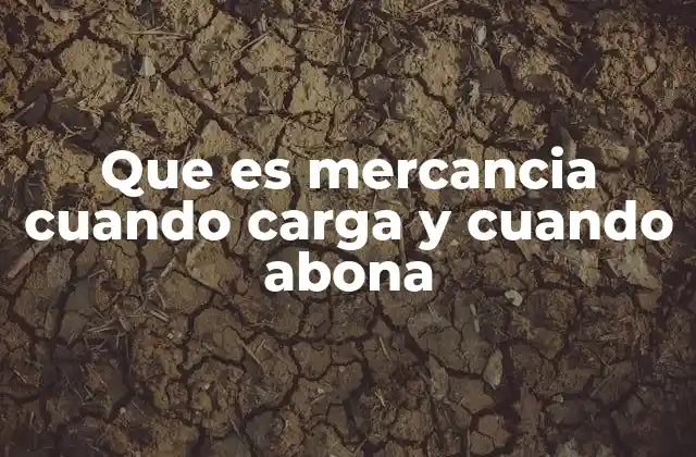 Que es Mercancia Cuando Carga y Cuando Abona 2 El proceso de carga y descarga de mercancías en logística