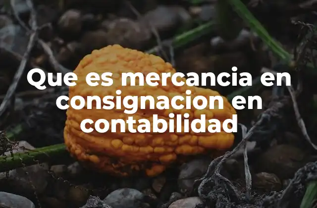 Que es Mercancia en Consignacion en Contabilidad