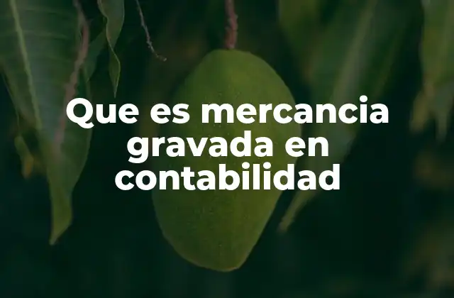 Que es Mercancia Gravada en Contabilidad