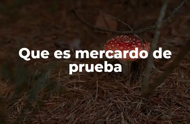 El rol del mercado de prueba en la toma de decisiones empresariales