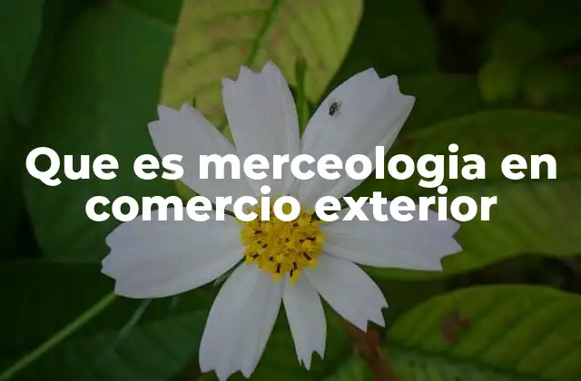Que es Merceologia en Comercio Exterior