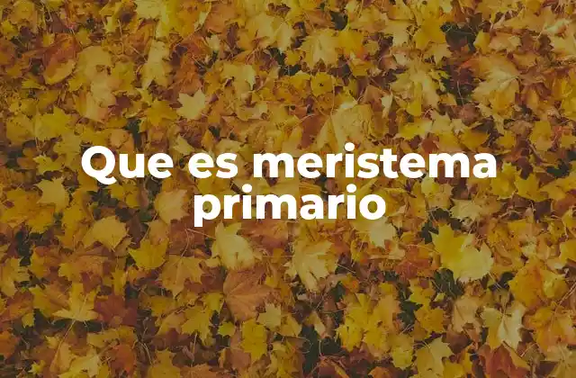 Que es Meristema Primario