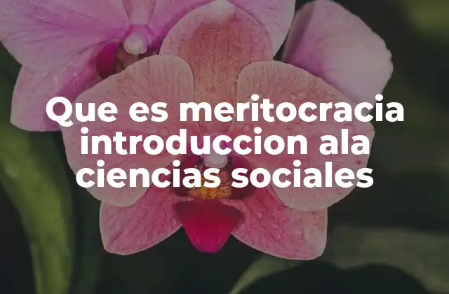 El ideal de la meritocracia y su relación con la justicia social