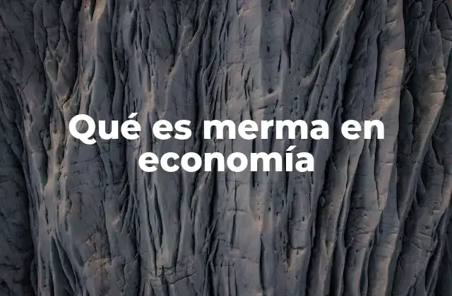 Qué es Merma en Economía