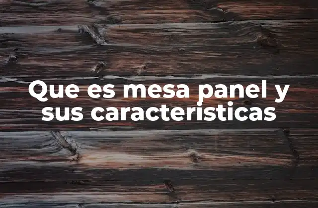 Que es Mesa Panel y Sus Caracteristicas