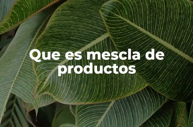 Que es Mescla de Productos 2 Cómo la mescla de productos define a una empresa