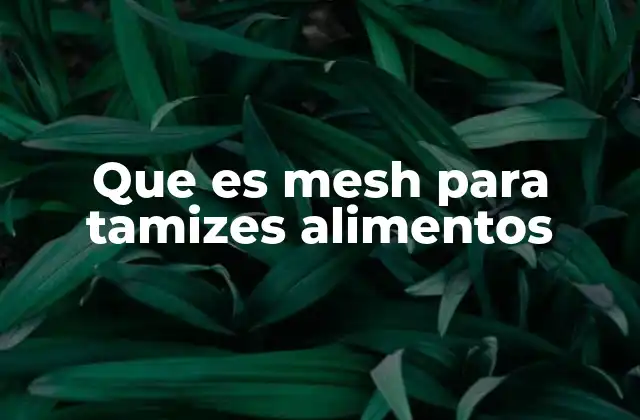 Que es Mesh para Tamizes Alimentos 2 La importancia del sistema mesh en la industria alimentaria
