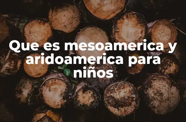 Que es Mesoamerica y Aridoamerica para Niños