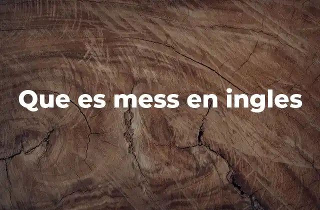 Que es Mess en Ingles