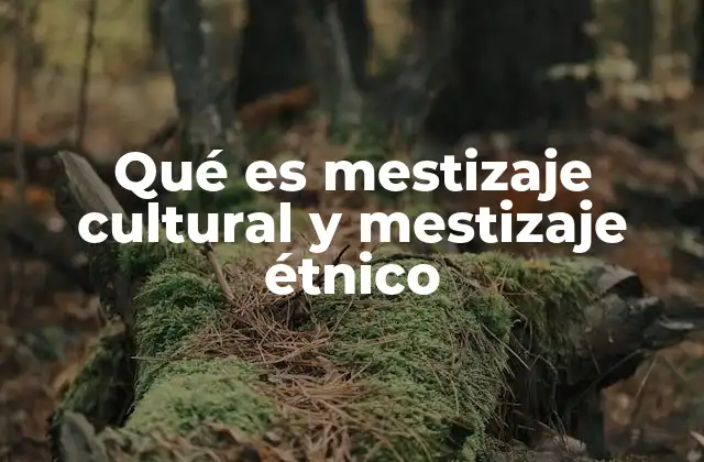 Qué es Mestizaje Cultural y Mestizaje Étnico