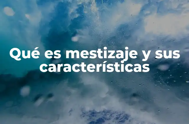 Qué es Mestizaje y Sus Características