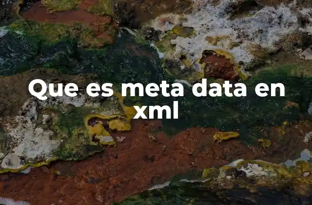 Que es Meta Data en Xml