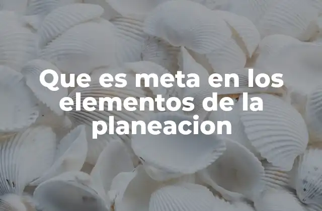 Que es Meta en los Elementos de la Planeacion 2 El rol de las metas en el proceso de toma de decisiones