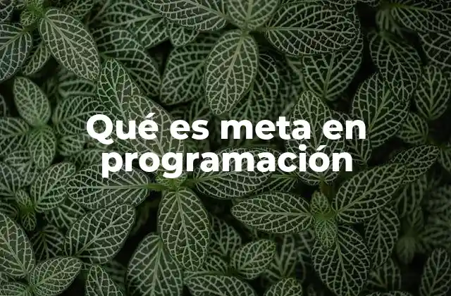 La importancia de los conceptos metaprogramáticos