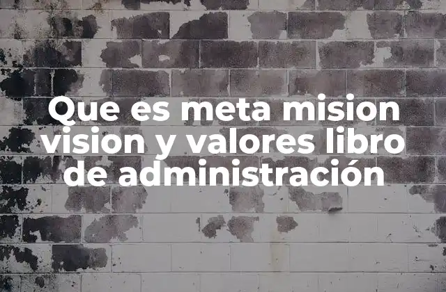 Que es Meta Mision Vision y Valores Libro de Administración