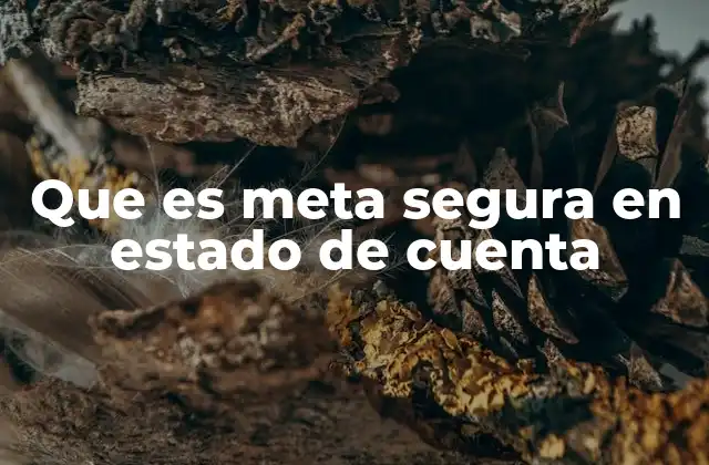 Que es Meta Segura en Estado de Cuenta