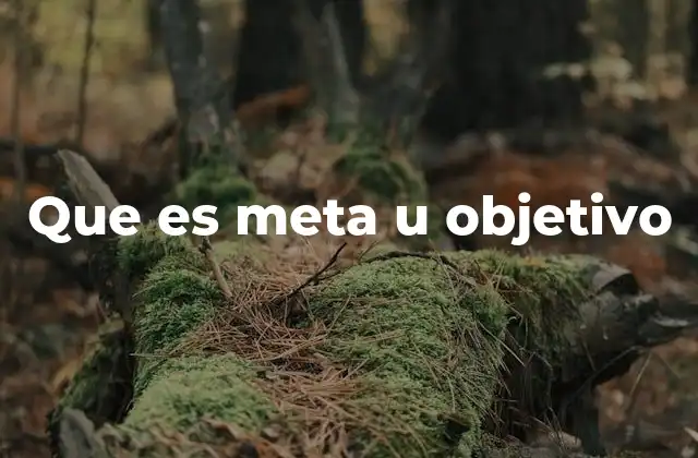 La importancia de tener metas y objetivos claros