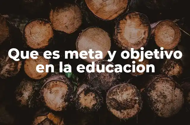 Que es Meta y Objetivo en la Educacion